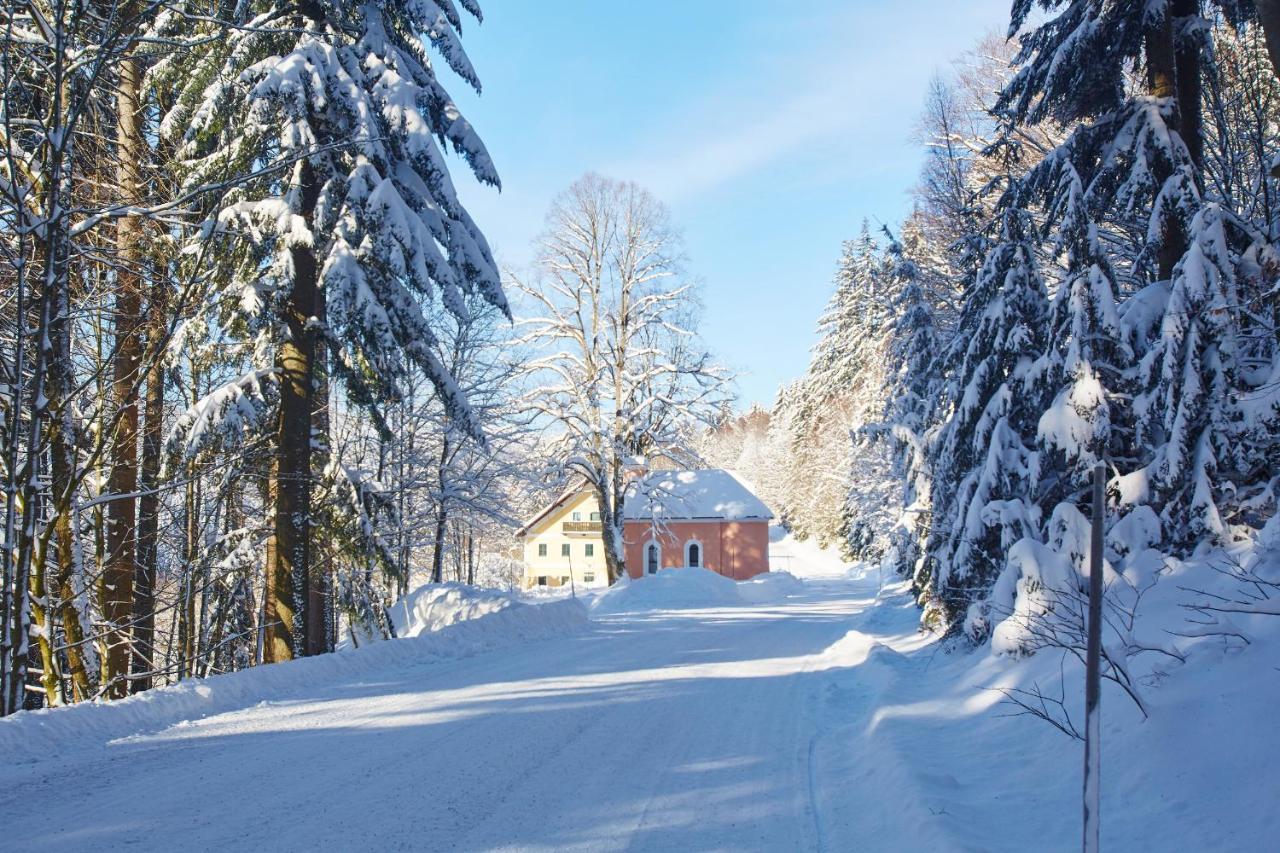 Forsthaus Apartment Holzschlag المظهر الخارجي الصورة
